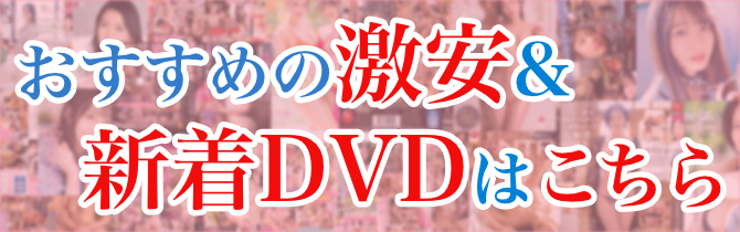 おすすめ･新着はこちら