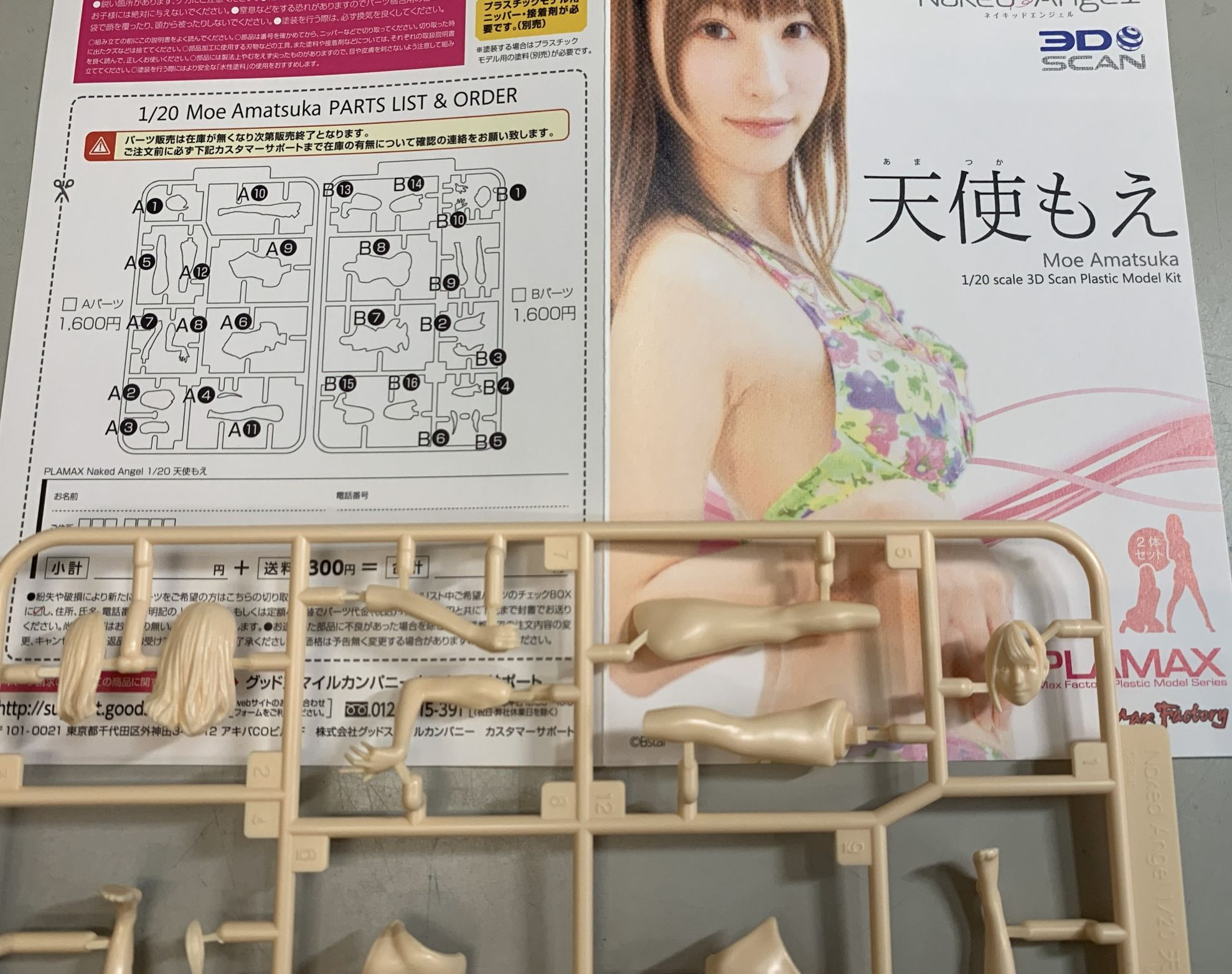 【PLAMAX Naked Angel ネイキッドエンジェルを買ったら、何が入っているのか紹介します】