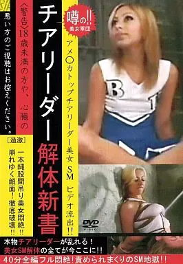 DRMV33 ﾁｱﾘｰﾀﾞｰ解体新書