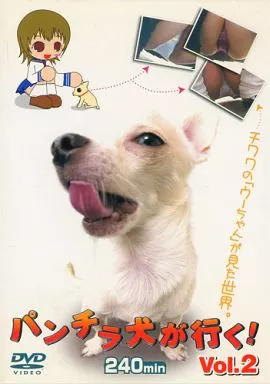 プロD72 パンチラ犬が行く! 2