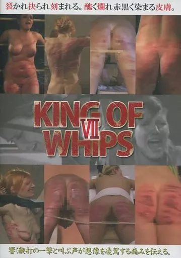 NKG65KING OF WHIPS 7
