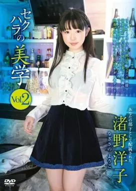 JMDV231 セクハラの美学2 渚野洋子