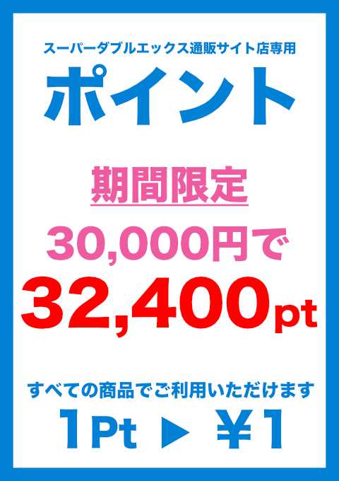 NET ポイント購入30000円分