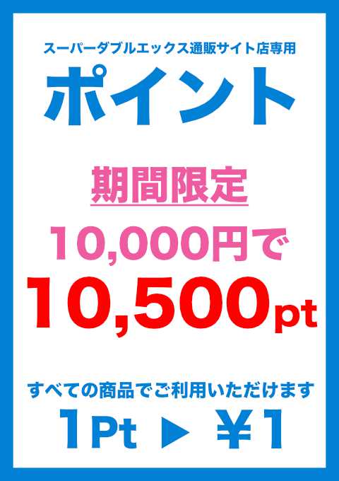 NET ポイント購入10000円分