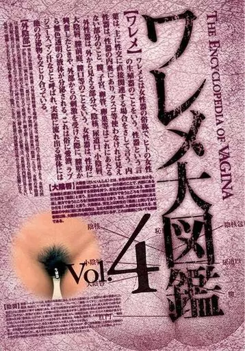 WREM4 ﾜﾚﾒ大図鑑 4