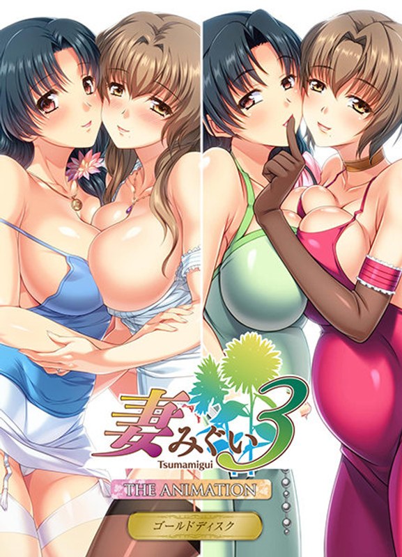 JDXA57645妻みぐい3 THE ANIMATION  ｺﾞｰ…