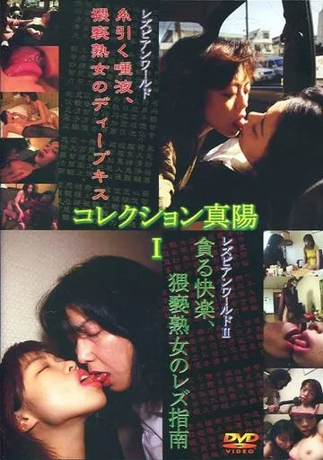 DSY1 コレクション真陽 1