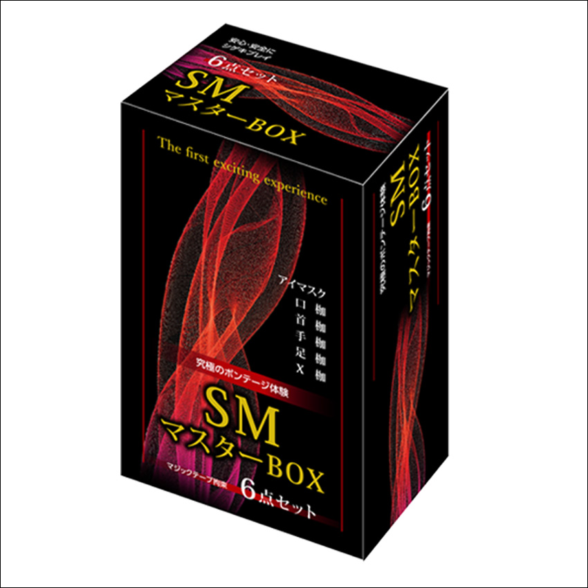 TOY0309002SMﾏｽﾀｰBOX(6点ｾｯﾄ)