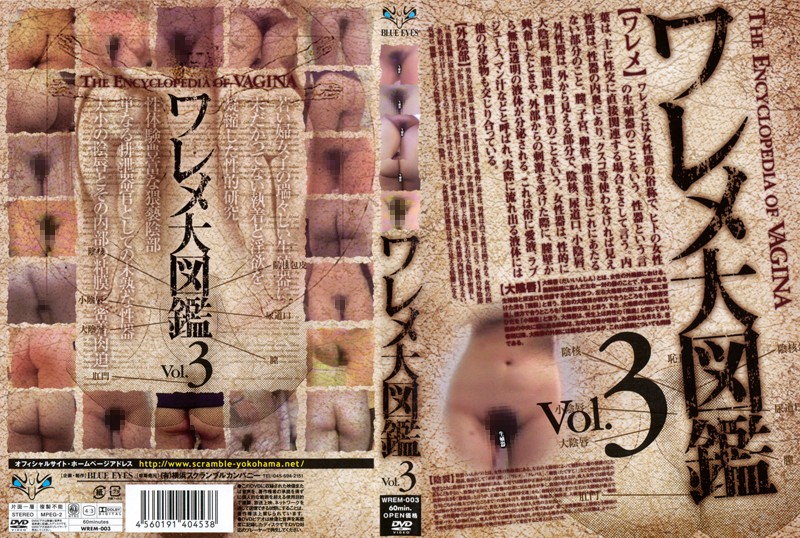 WREM3 ﾜﾚﾒ大図鑑 3