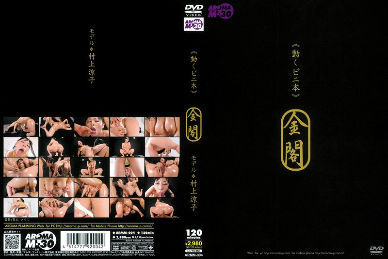 2ARMM4 動くﾋﾞﾆ本 金閣 ﾓﾃﾞﾙ:村上涼子