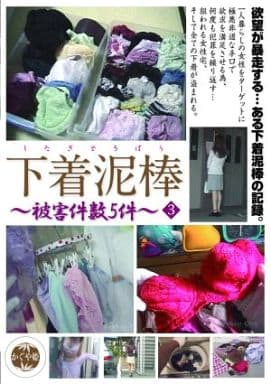TSD3 下着泥棒 被●件数5件 3