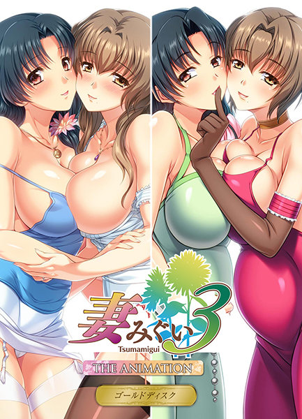JDXA57645妻みぐい3 THE ANIMATION ゴー…