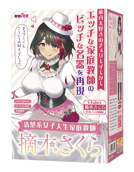 TMT1749 清楚系女子大生家庭教師 摘木さ