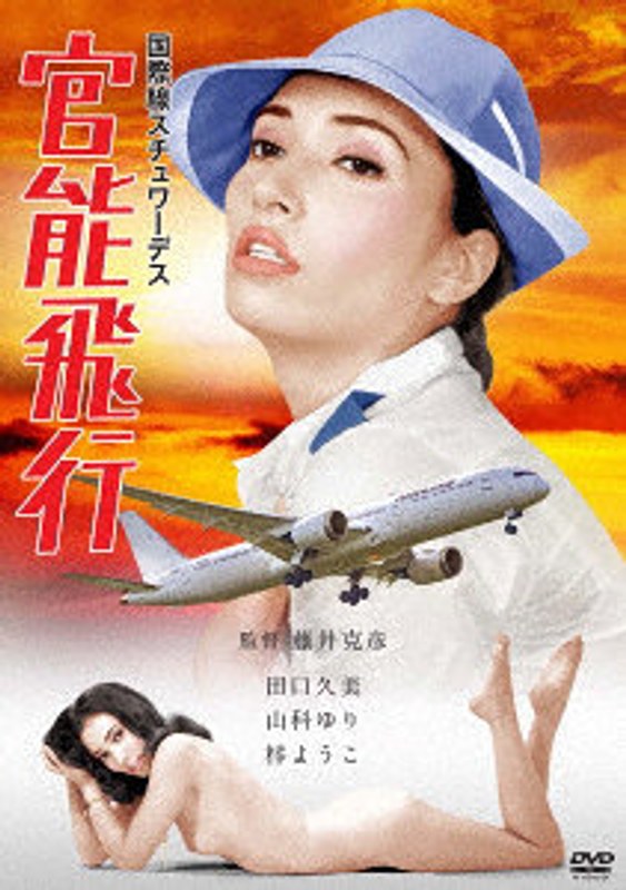 HPBN545国際線ｽﾁｭﾜｰﾃﾞｽ 官能飛行