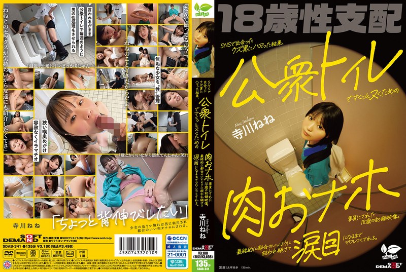 SDAB341SNSで出会ったｸｽﾞ男にﾊﾏった結果
